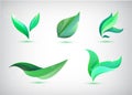 Vector set of green leaves illustrations, icons, logos isolated. Eco Royalty Free Stock Photo