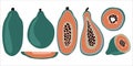 Vector set of green papaya - sliced, piece and cube, juice. Tropic vegetarian pawpaw in cartoon flat style