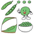 Vector set of green pea