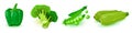 Vector set with green raw vegetables in line: bell pepper, broccoli, peas, summer cousa squash. Royalty Free Stock Photo