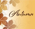 Vector set of greeting cards with autumn elements and lettering. Happy Septembe, fall in love, enjoy - phrases set Royalty Free Stock Photo