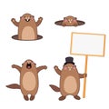 Set of groundhog popping out of his hole and holding a blank sign board. Cartoon outlines