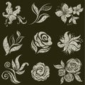 Vector set of grunge leafs and flowers