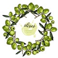 Vector set of hair care ingredients. Organic hand drawn colored elements.Green Olive wreath. Royalty Free Stock Photo