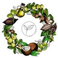 Vector set of hair care ingredients. Organic hand drawn colored elements.Macadamia, argan, coconut, cocoa, olive, jojoba wreath.