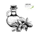 Vector set of hair care ingredients. Organic hand drawn elements. Argan nuts and bottle of oil.