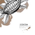 Vector set of hair care ingredients. Organic hand drawn elements. Cocoa bean.