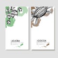 Vector set of hair care ingredients. Organic hand drawn elements. Flyers with jojoba and cocoa.