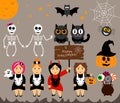 Vector set for Halloween in cartoon style. Pumpkin, ghost, candy, cauldron, owl, bat, web, skeleton. Girl in costumes.