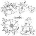 Vector set of hand drawing outline Anemone flower or Windflower, bud and leaf in black isolated on white background.