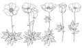 Vector set of hand drawing outline Anemone flower or Windflower, bud and leaf in black isolated on white background. Royalty Free Stock Photo