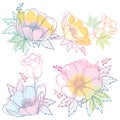 Vector set of hand drawing outline Anemone flower or Windflower, bud and leaf in pastel pink, orange and blue color isolated.