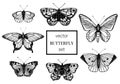 Vector set of hand drawn black and white butterflies