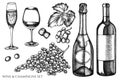 Vector set of hand drawn black and white grapes, champagne, bottle of wine, glass of champagne, glass of wine Royalty Free Stock Photo