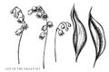 Vector set of hand drawn black and white lily of the valley Royalty Free Stock Photo