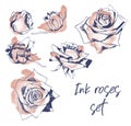 Vector set of hand drawn blue ink roses on pink watercolor background Royalty Free Stock Photo