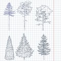 Vector Set of Hand Drawn Sketch Pine Trees