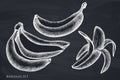 Vector set of hand drawn chalk bananas Royalty Free Stock Photo