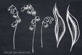 Vector set of hand drawn chalk lily of the valley Royalty Free Stock Photo