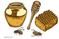 Vector set of hand drawn colored honey