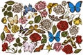 Vector set of hand drawn colored menelaus blue morpho, giant swordtail, blue morpho, lemon butterfly, red lacewing