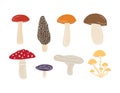 Vector set of hand drawn colored mushroom Royalty Free Stock Photo