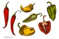 Vector set of hand drawn colored pepper