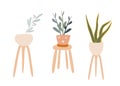 Vector set of hand drawn cute houseplants on coasters home decoration flowers in Scandinavian style.