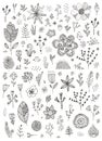 Vector set of hand drawn doodle flowers, florals, leaves. Line drawing. Graphic collection with fantasy field herbs. Royalty Free Stock Photo