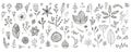 Vector set of hand drawn doodle flowers, wild floral sketch illustration, art nature set, plant cute elements, leaves Royalty Free Stock Photo