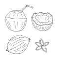 Vector set of hand drawn doodle sketch coconut