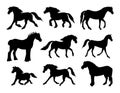 Vector set of horse breeds silhouette