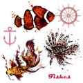 Vector set of hand drawn fishes in watercolor style Royalty Free Stock Photo