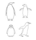 Vector set of hand drawn flat penguin