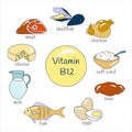 Vector set of hand drawn foods highest in Vitamin B12