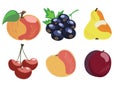 Vector set of 6 hand-drawn garden fruits: apple, blackcurrant, pear, cherries, peach, plum. Isolated on white background