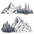 Vector set of hand drawn graphic mountain ranges with pine forest Royalty Free Stock Photo