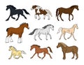 Vector set of hand drawn horse breeds