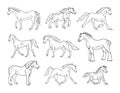 Vector set of hand drawn horse breeds