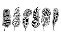 Vector set of hand drawn illustration, decorative ornamental stylized feather. Black and white graphic illustration isolated on th Royalty Free Stock Photo
