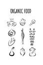 Vector set with hand-drawn organic products for a diet with herbs and spices. illustration.fresh herbs, nuts, vinegar Royalty Free Stock Photo