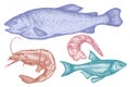 Vector set of hand drawn pastel fish, shrimp