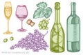 Vector set of hand drawn pastel grapes, champagne, bottle of wine, glass of champagne, glass of wine Royalty Free Stock Photo