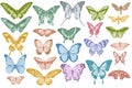 Vector set of hand drawn pastel papilio ulysses, morpho menelaus, graphium androcles, morpho rhetenor cacica, papilio