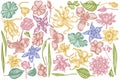 Vector set of hand drawn pastel ylang-ylang, impatiens, daffodil, tigridia, lotus, aquilegia