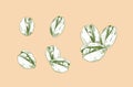 Vector Set of Hand Drawn Pistachios, Nuts Sketch, Groups on Nuts and Single Objects, Natural Product, Sketchy. Royalty Free Stock Photo