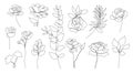Vector set of hand drawn, single continuous line flowers, leaves. Art floral elements, roses. Use for t-shirt prints Royalty Free Stock Photo