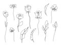 Vector set of hand drawn, single continuous line flowers, leaves. Art floral elements. Use for t-shirt prints, logos Royalty Free Stock Photo