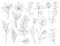 Vector set of hand drawn, single continuous line flowers, leaves. Art floral elements. Use for t-shirt prints, logos Royalty Free Stock Photo