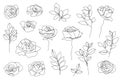 Vector set of hand drawn, single continuous line flowers, leaves. Art floral elements. Use for t-shirt prints, logos Royalty Free Stock Photo